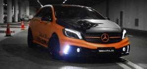 Mercedes-Benz A-Class Black Bison by Wald 2014 года